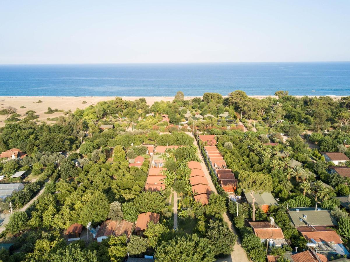 Serenity Case de vacanță Çıralı