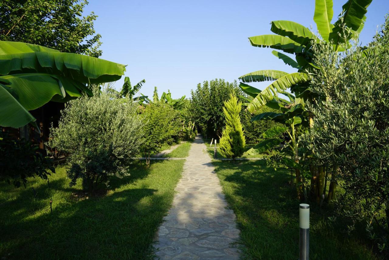Case de vacanță Serenity *