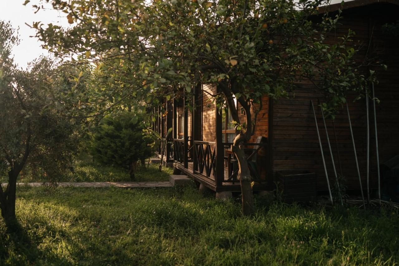 Serenity Çıralı